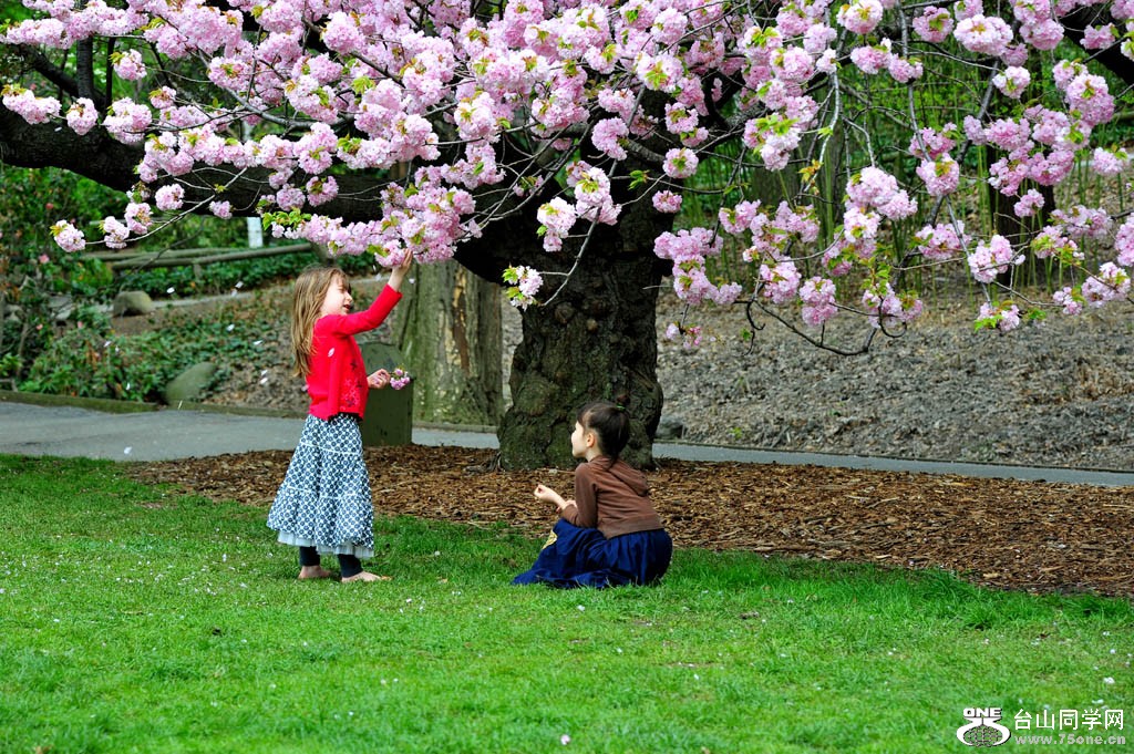DSC_4261.jpg