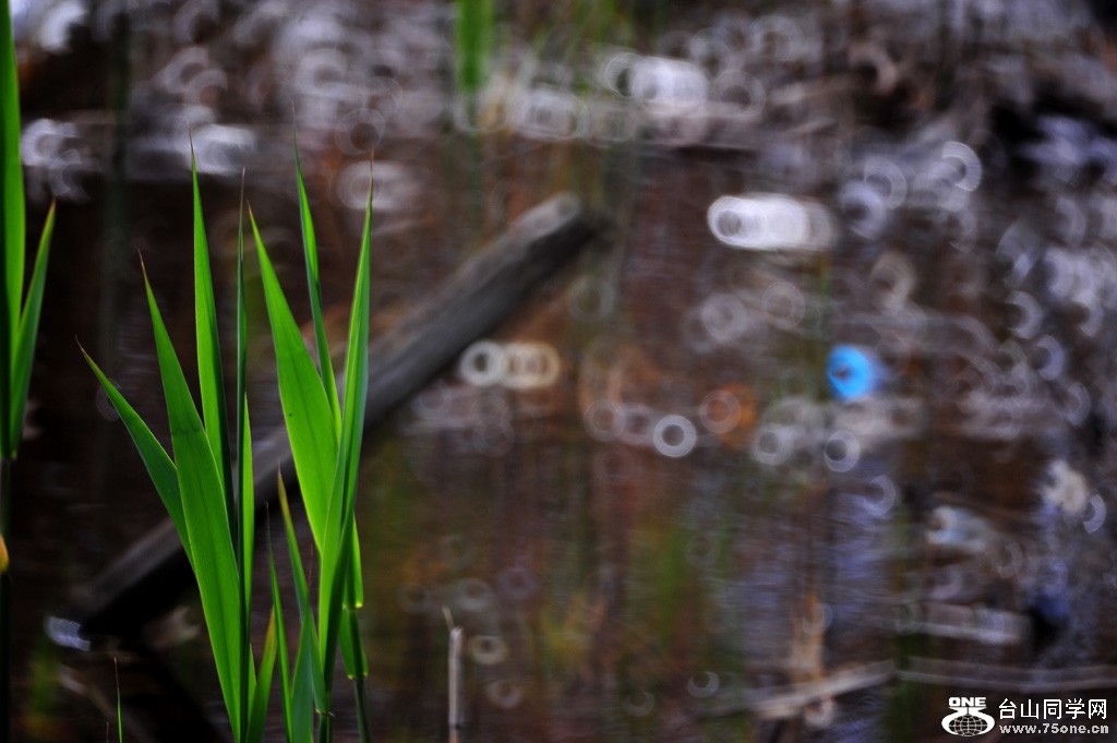 DSC_3900.jpg
