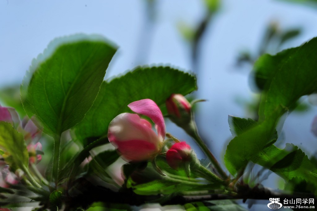 DSC_4023.jpg