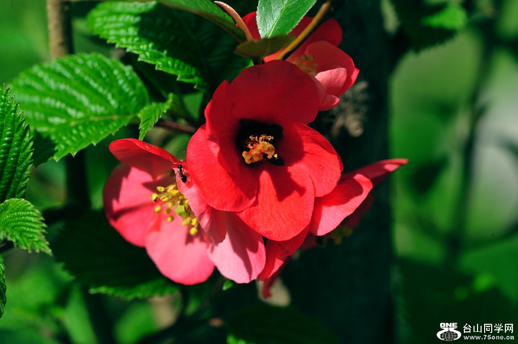 DSC_3876.jpg