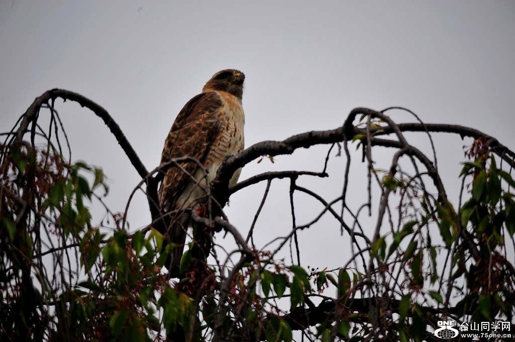 DSC_4744.jpg