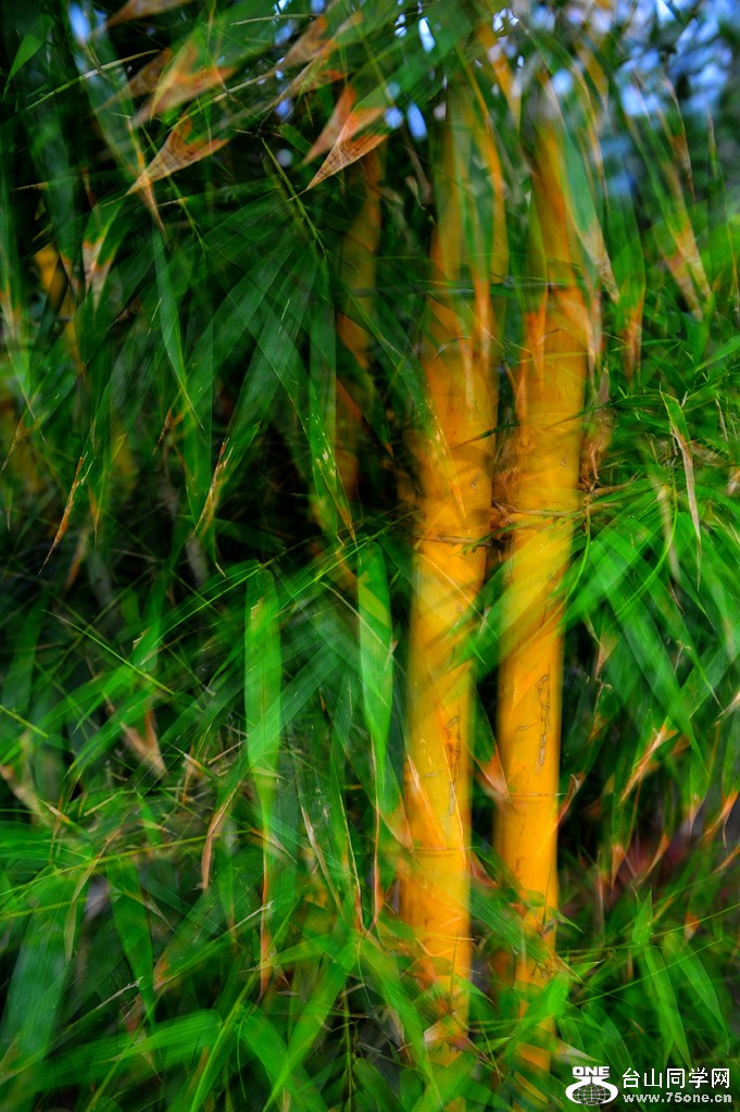 DSC_4712.jpg