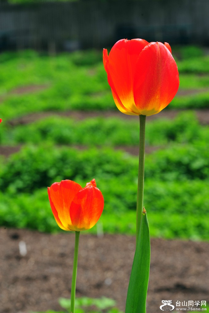 DSC_3995.jpg