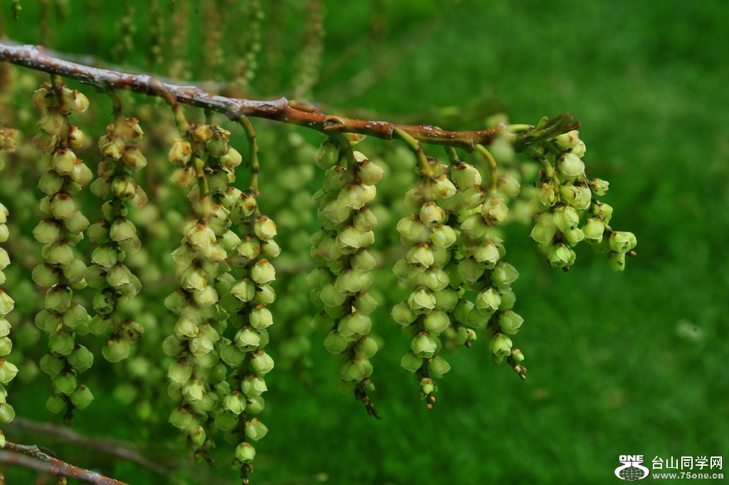 DSC_4067.jpg