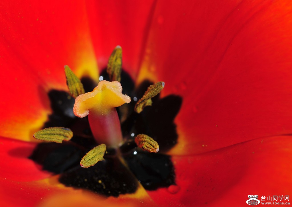 DSC_4012.jpg