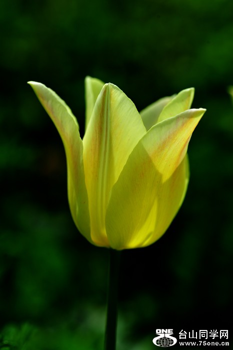 DSC_4949.jpg