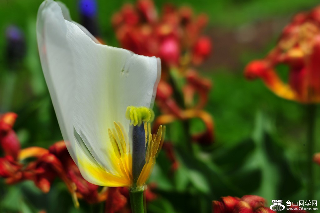DSC_4031.jpg