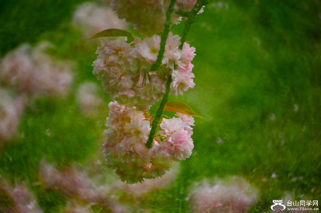 DSC_4758.jpg