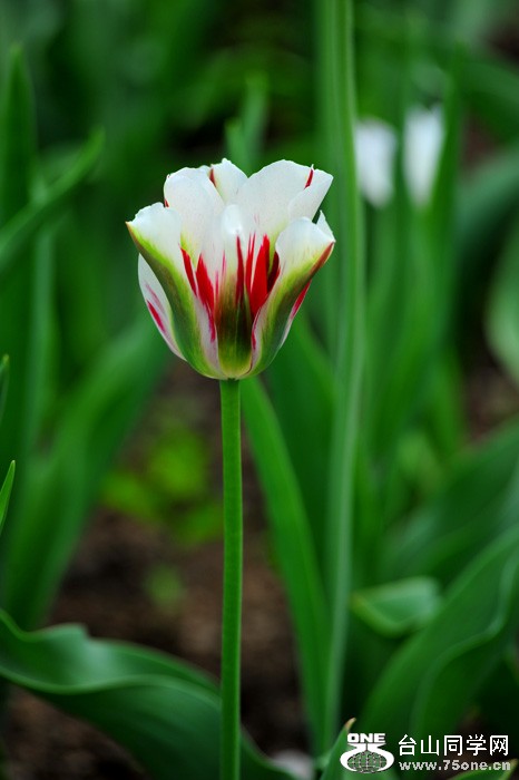 DSC_5050.jpg
