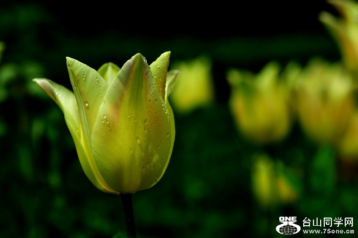DSC_4969.jpg