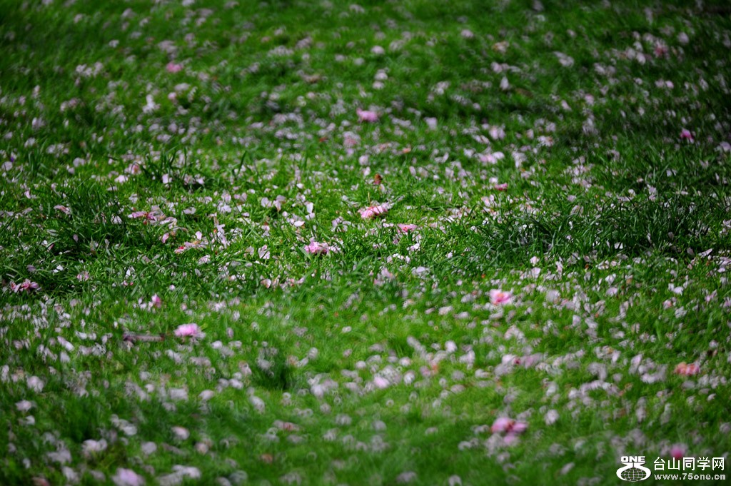 DSC_4752.jpg