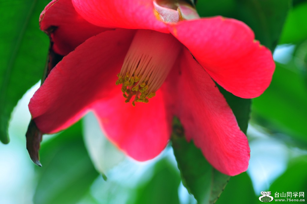DSC_4072.jpg