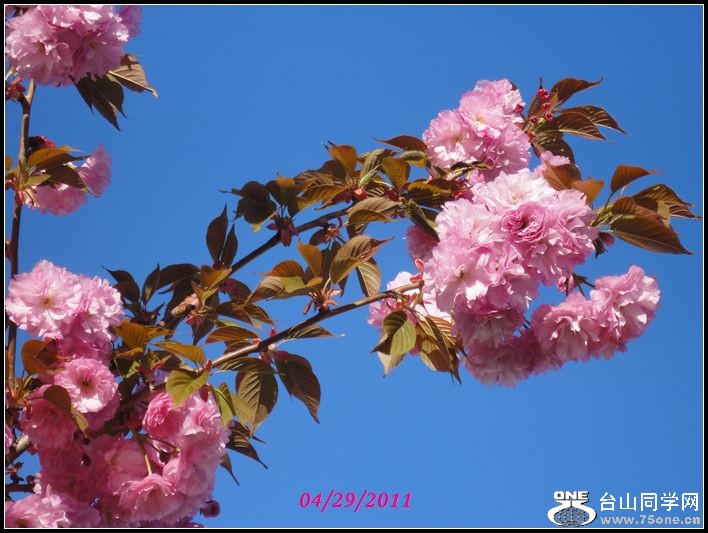 DSC01359.jpg