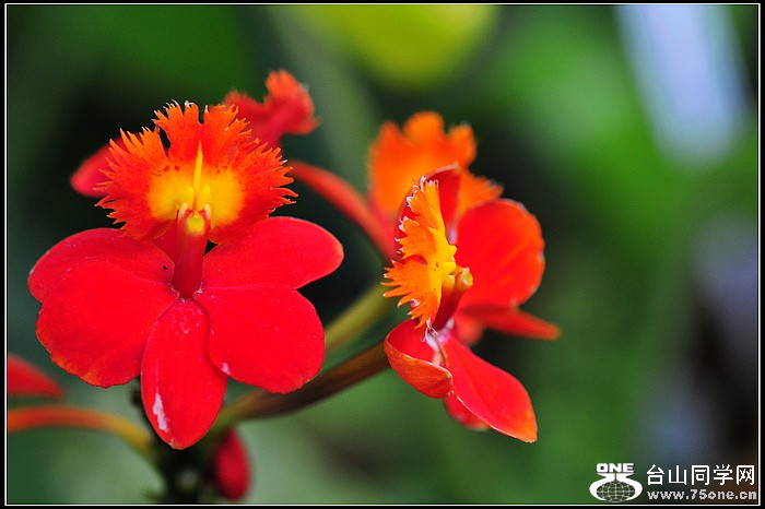 DSC_5612.JPG