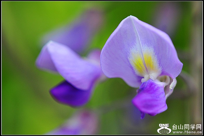 DSC_8903.JPG