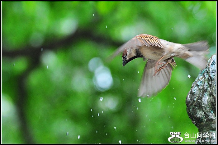 DSC_9882.jpg