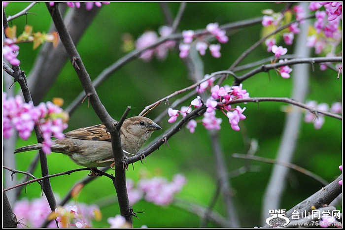 DSC_9926.JPG