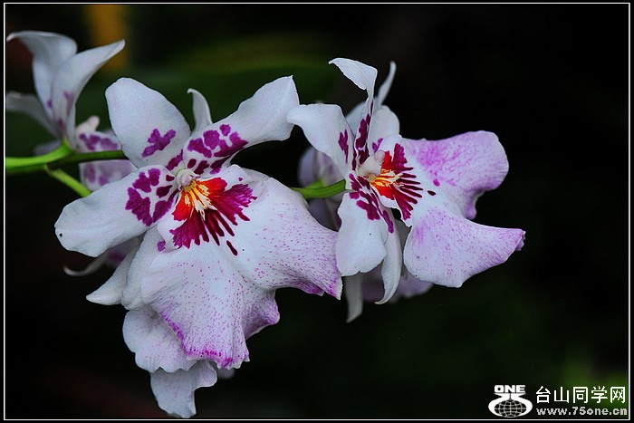 DSC_5739.JPG
