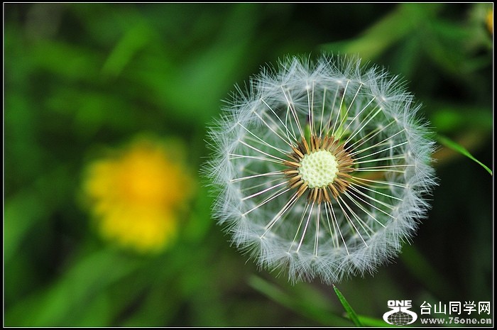 DSC_7601.JPG