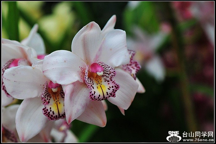 DSC_5684.JPG