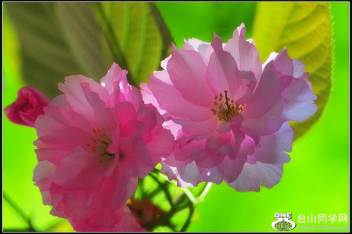 DSC_8432.JPG