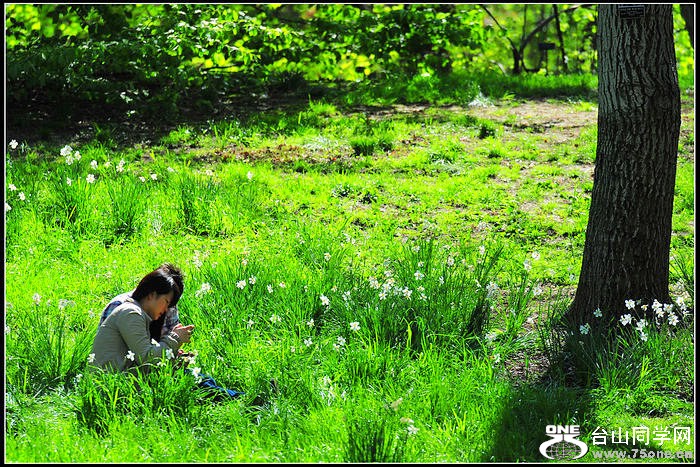 DSC_8404.JPG