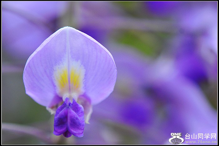DSC_8904.JPG