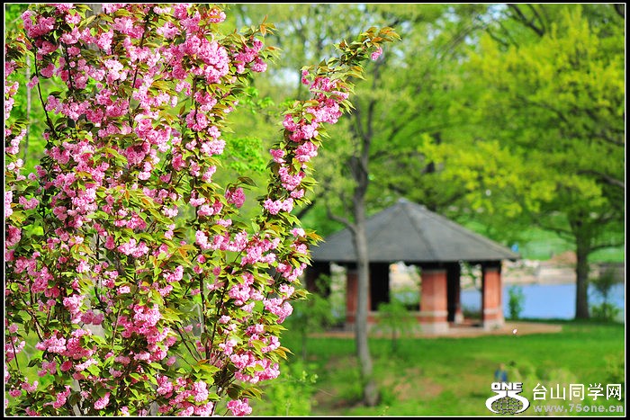 DSC_7529.JPG