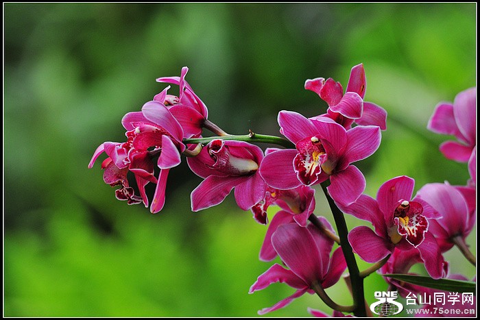 DSC_6384.JPG