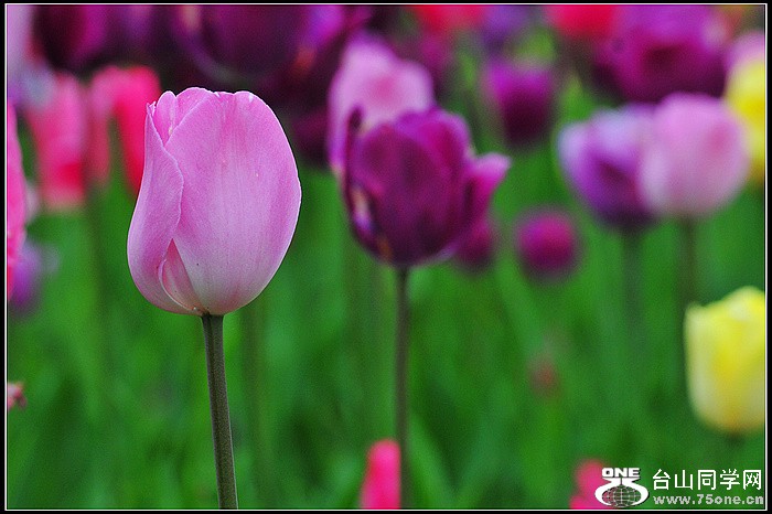 DSC_9082.JPG