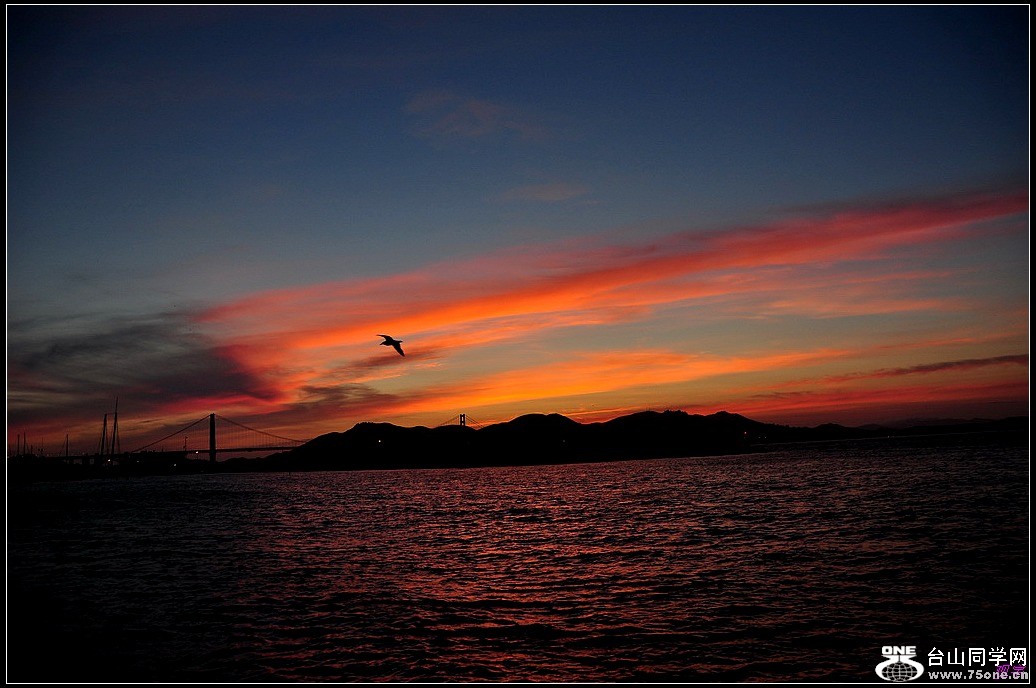 DSC_8589.jpg