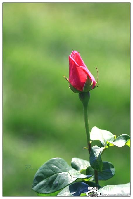 }u -IMG_9349ccc.jpg