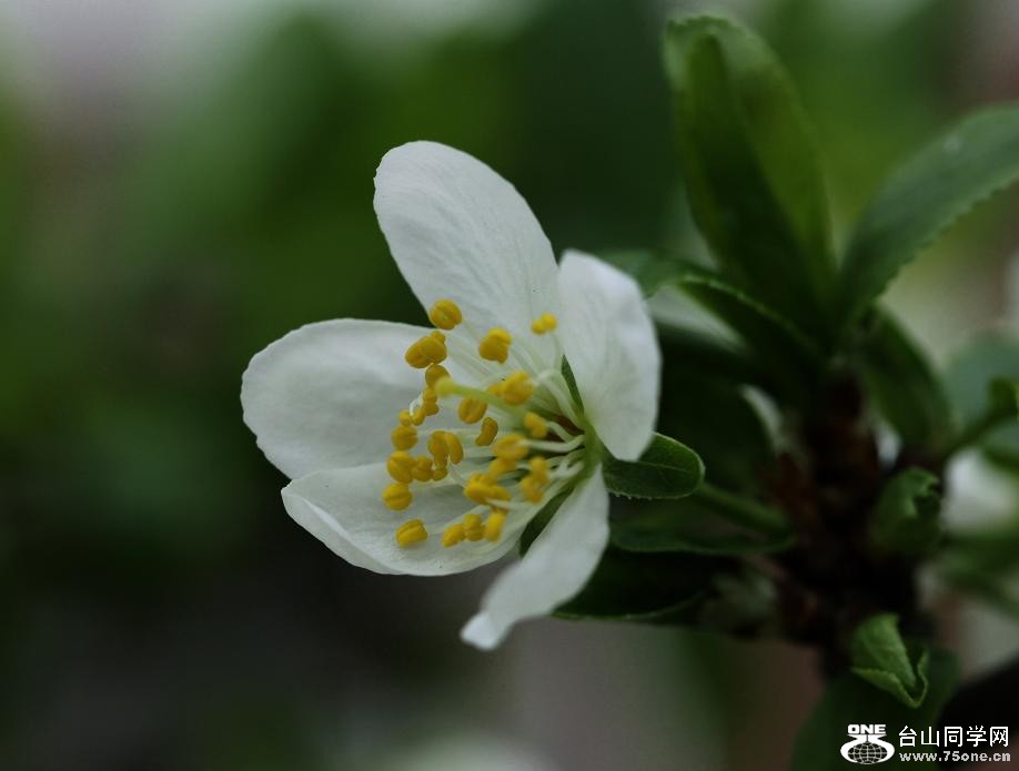 }u -IMG_5936cc.jpg