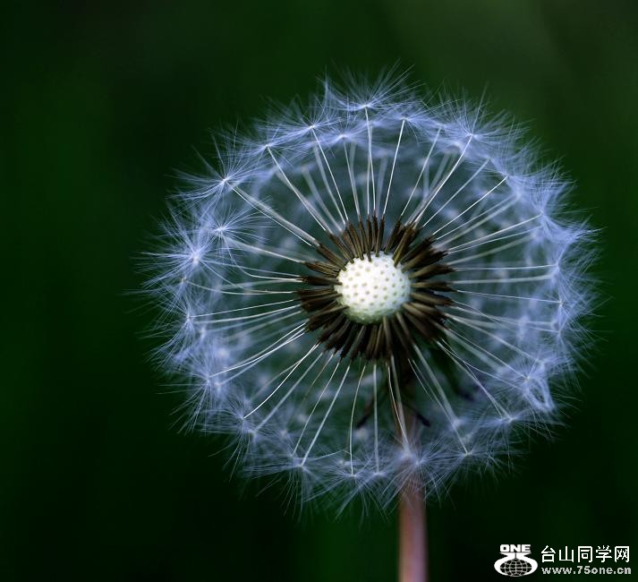 }u -IMG_6381ccss.jpg