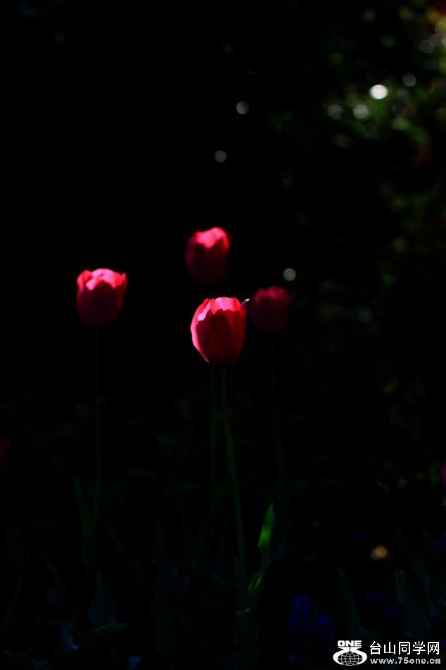 }u -IMG_7218cc.jpg