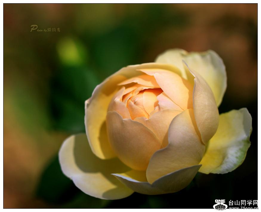 }u -IMG_9377cc.jpg