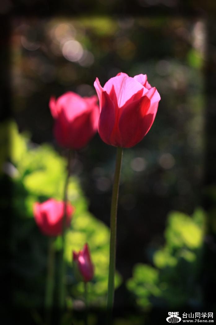 }u -IMG_7229aa.jpg