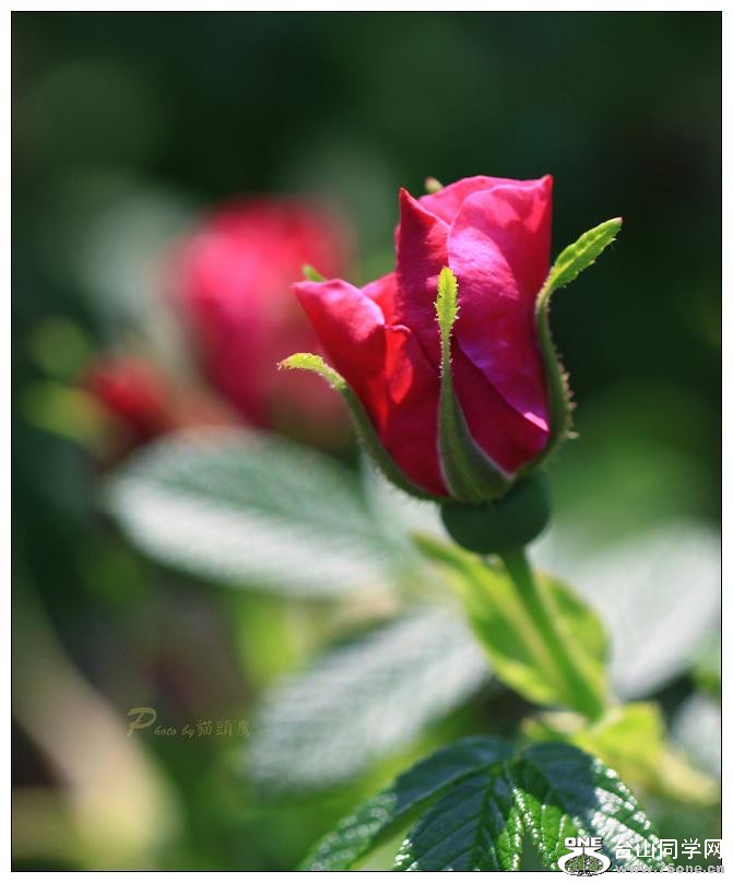 }u -IMG_9255cc10.jpg