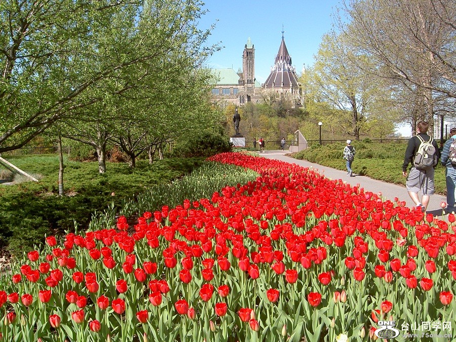 PICT4654.JPG