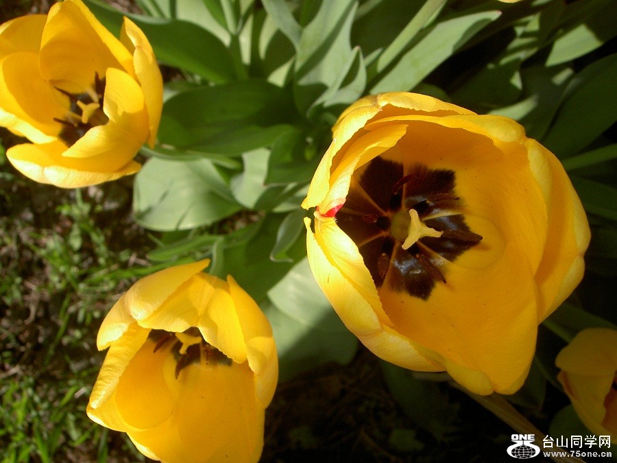 PICT4607.JPG
