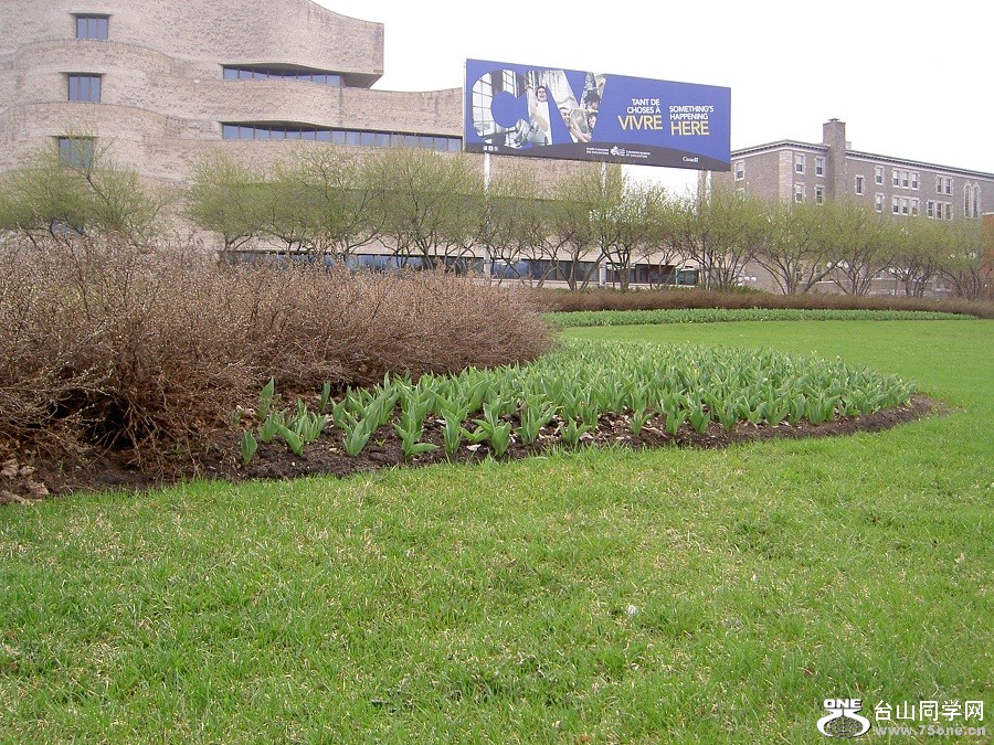 PICT4423.JPG