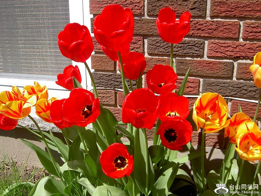 PICT4586.JPG