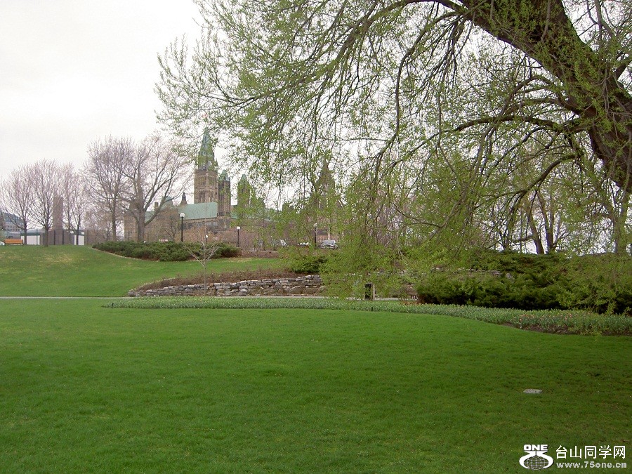 PICT4438.JPG