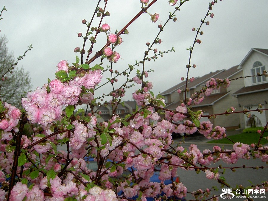 PICT4687.JPG