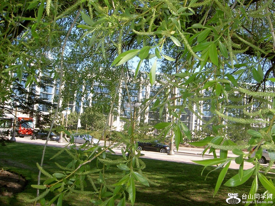 PICT4615.JPG