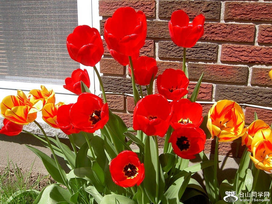 PICT4585.JPG
