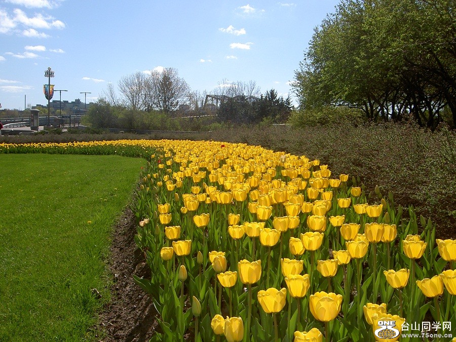 PICT4676.JPG