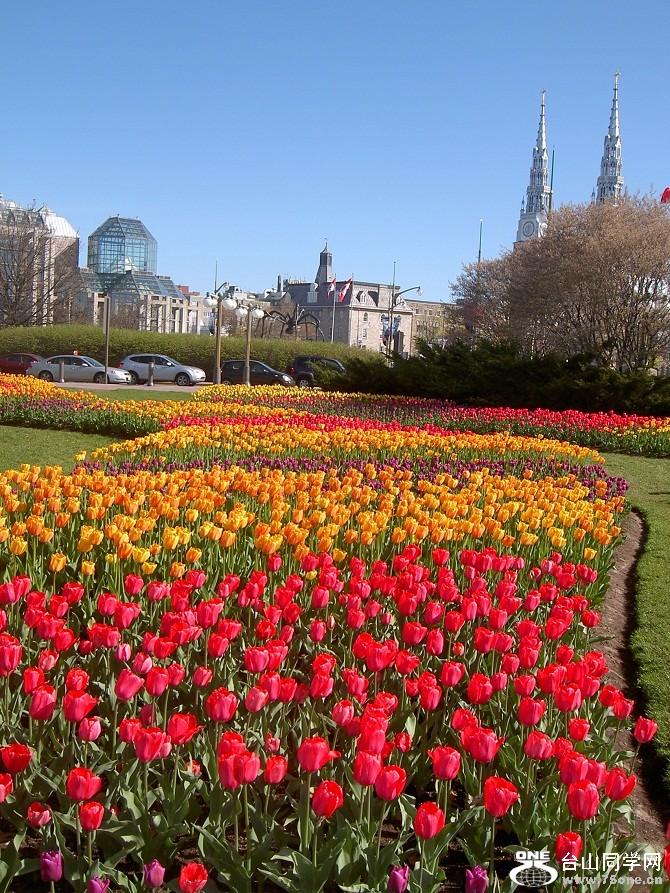 PICT4627.JPG