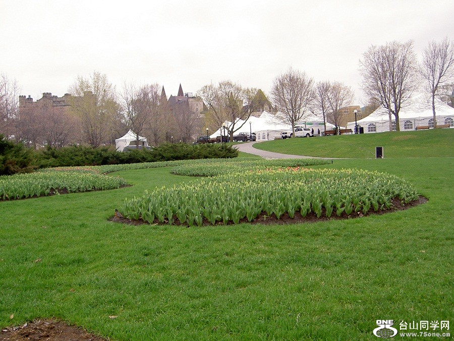PICT4435.JPG