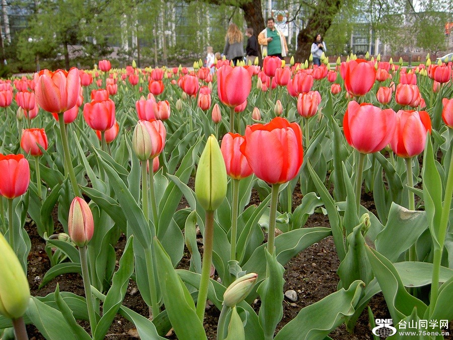 PICT4540.JPG